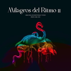 Jose Manuel Milagros Del Ritmo Ii: Obscure & Rhythmic Tunes From 1988-1993 2 VINYL LP