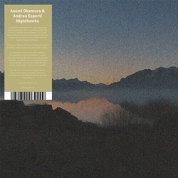 Azumi & Andrea Esperti Okamura Nighthawks VINYL LP