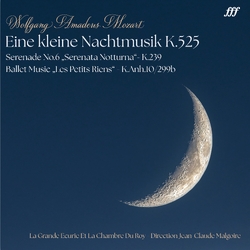 La Grande Ecurie Et La Chambre Du Roy / Malgoire Jean-Claude Wolfgang Amadeus Mozart: Eine Kleine Nachtmusik K.525 VINYL LP