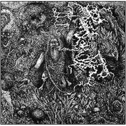 Werian Animist VINYL LP