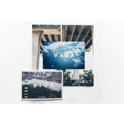 Tom Doolie V I O A VINYL LP
