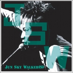 Jun Sky Walker(S) J SW VINYL LP
