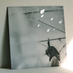 Kenji Ozawa Hibiya Yaon No Ozawa Kenji OFFICIAL KAIZOKUBAN VINYL LP