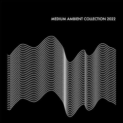 Various Artists Medium Ambient Collection 2022 2 VINYL LP