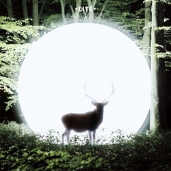 Lite Installation JAPANESE IMPORT LIMITED VINYL LP