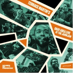Terrace Gray Area Martin Live At The Jammjam-Á 2 VINYL LP