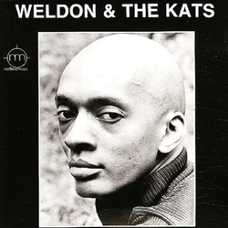 Weldon Irvine Weldon & The Kats VINYL LP