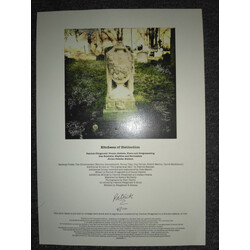 Kitchens Of Distinction Folly Vinyl LP