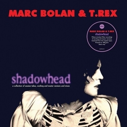 Bolan Marc & T. Rex Shadowhead 180GM VINYL LP