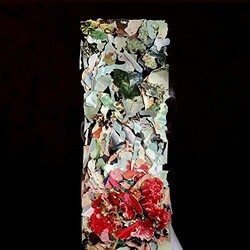 Foxtrott Taller Us VINYL LP