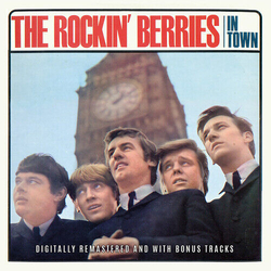 Rockin Berries In Town VINYL LP