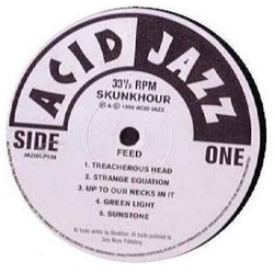 Skunkhour Up To Our Necks In It VINYL LP
