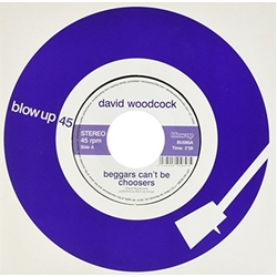 David Woodcock Beggars Can'T Be Choosers Vinyl LP