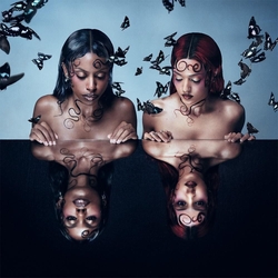 Nova Twins Parasites & Butterflies VINYL LP