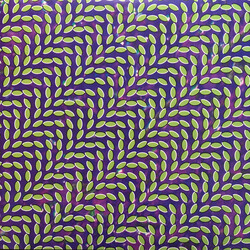 Animal Collective Merriweather Post Pavillion Vinyl LP