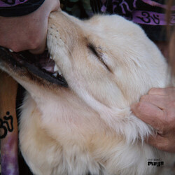 Fennesz / Jim O'Rourke It's Hard For Me To Say I’m Sorry Vinyl LP