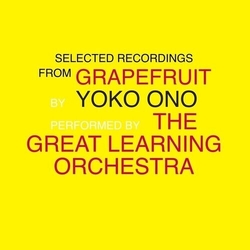 Yoko & The Great Learning Orchestra Ono Selected Recordings From Grapefruit 2 VINYL LP