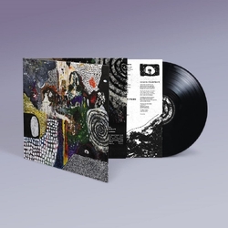 Bdrmm I Don'T Know VINYL LP