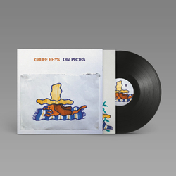 Gruff Rhys Dim Probs VINYL LP