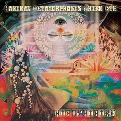 Hibushibire Magical Metamorphosis Third Eye VINYL LP