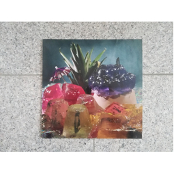 Bitch Falcon Starting At Clocks IMPORT VINYL LP