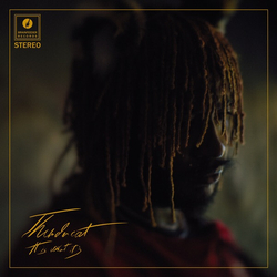Thundercat It Is What It Is (I) (140G/Cream Color Vinyl/3Mm Spined Sleeve/Gold Foil) Vinyl LP