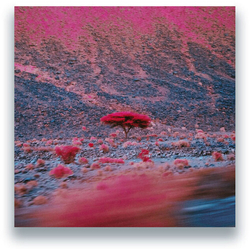 O'Flynn Kairos 2 VINYL LP