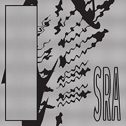Silk Road Assassins Reflection Spaces Vinyl LP