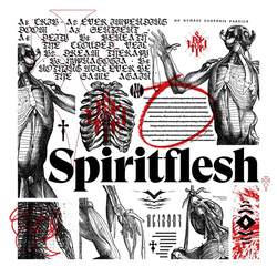 Spiritflesh Spiritflesh VINYL LP