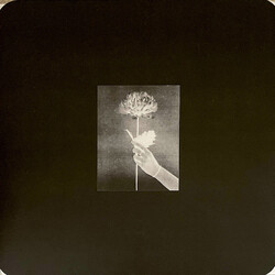 White Flowers Day By Day VINYL LP