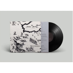 Index For Working Musik Which Direction Goes The Beam VINYL LP