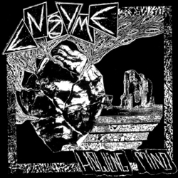 Enzyme Howling Mind VINYL LP