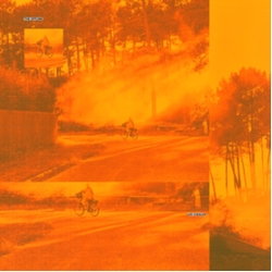 Offline Les Cigales En Clair-Obscur VINYL LP
