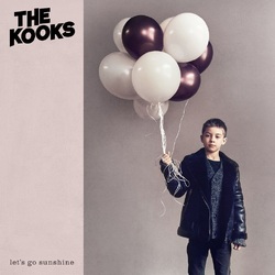 Kooks The Lets Go Sunshine VINYL LP