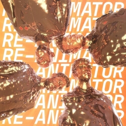Everything Everything Re-Animator VINYL LP