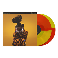 Little Simz Sometimes I Might Be Introvert Vinyl 2 LP