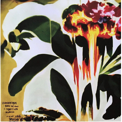 Jungle Good Times Problemz RSD VINYL LP