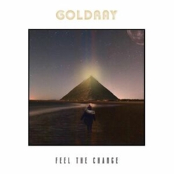 Goldray Feel The Change VINYL LP
