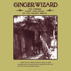 Ginger Wizard Curious Flora & Fauna Of The Ancient World VINYL LP