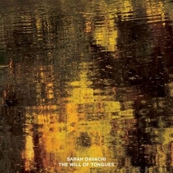 Sarah Davachi Will Of Tongues 3 VINYL LP