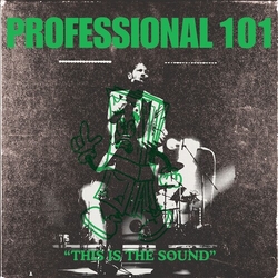 Professional 101 This Is The Sound LP