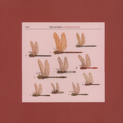 Liftmen Luftwaffe Pond VINYL LP