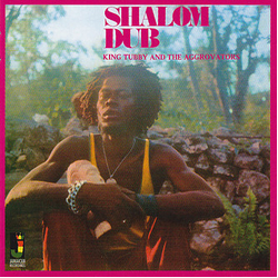 King Tubby & The Aggrovators Shalom Dub VINYL LP