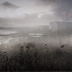 Joshua Trinidad In November VINYL LP