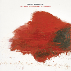 Eraldo Bernocchi Like A Fire That Consumes All Before It VINYL LP
