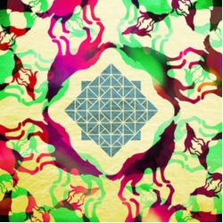 Trwbador Several Wolves VINYL LP