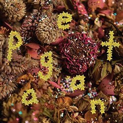 Pwr Bttm Pageant Vinyl LP