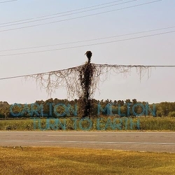 Carlton Melton Turn To Earth VINYL COLOR 2 LP