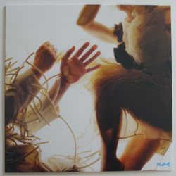 Lump Feat. Laura Marling & Mike Lindsay Animal DELUXE 180GM VINYL LP