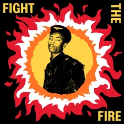 Various Artists Fight The Fire: Digital Reggae Conscious Roots & Dub In Nigeria 1986-91 2 VINYL LP